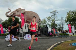 BIB: 
                            <button type="button" onclick="openModal(26528855)" class="btn btn-primary btn-sm float-right btn-popup" data-toggle="modal" data-target=".modal-high-quality">
                        <i class="fas fa-shopping-cart"></i> Add to Cart
                    </button>
                                            <button type="button" onclick="isThisMe(26528855, true)" class="btn btn-success btn-sm float-right btn-popup btn-isme hidden" data-toggle="tooltip" data-placement="bottom" title="นี่คือรูปของคุณใช่ไหม คลิกที่นี่เพื่อเอาเข้าอัลบั้ม">
                        <i class="fas fa-plus"></i> Add to album
                    </button>
                    <button type="button" onclick="isThisMe(26528855, false)" class="btn btn-warning btn-sm float-right btn-popup btn-isnotme hidden">
                        <i class="fas fa-ban"></i> Remove from album
                    </button>